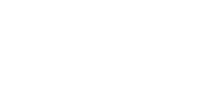 ЭССЭ
